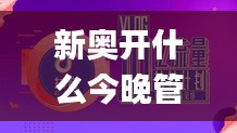 新奥开什么今晚管家婆,快速处理计划_电信版TQQ7.2