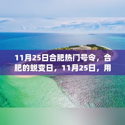 合肥蜕变日，学习点燃自信的灯塔，11月25日热门号令启航新征程