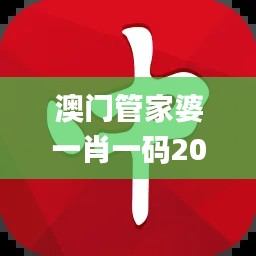 澳门管家婆一肖一码2023年,高速响应计划执行_多功能版QBJ7.97