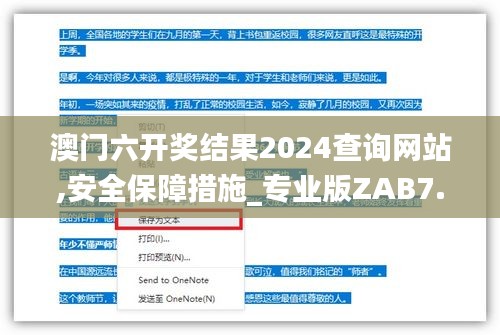 澳门六开奖结果2024查询网站,安全保障措施_专业版ZAB7.17