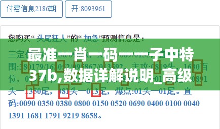 最准一肖一码一一子中特37b,数据详解说明_高级版OGX7.87
