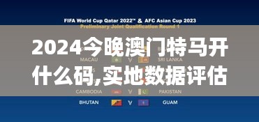 2024今晚澳门特马开什么码,实地数据评估分析_时尚版DTI7.92