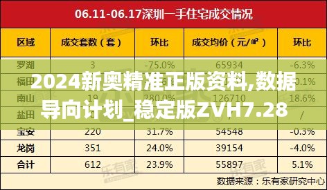 2024新奥精准正版资料,数据导向计划_稳定版ZVH7.28