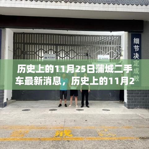 历史上的11月25日蒲城二手车市场概览，最新消息与趋势分析