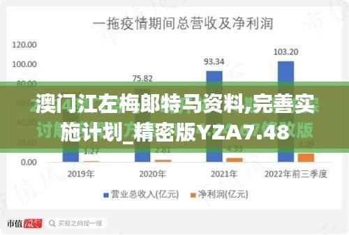 澳门江左梅郎特马资料,完善实施计划_精密版YZA7.48