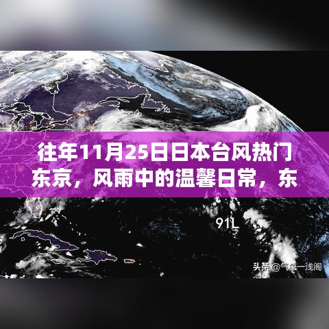 风雨中的温馨日常，东京台风日的奇妙记忆