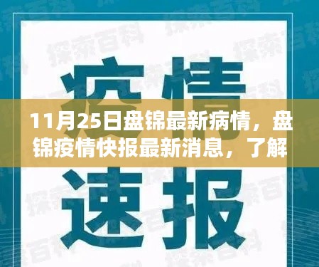 盘锦疫情最新动态，掌握防控进展与疫情现状（11月25日更新）