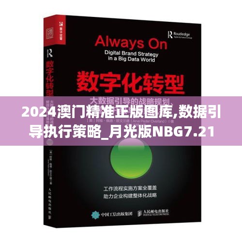 2024澳门精准正版图库,数据引导执行策略_月光版NBG7.21