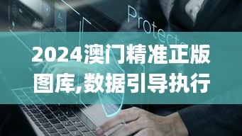 2024澳门精准正版图库,数据引导执行策略_月光版NBG7.21