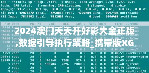 2024澳门天天开好彩大全正版,数据引导执行策略_携带版XGF7.27