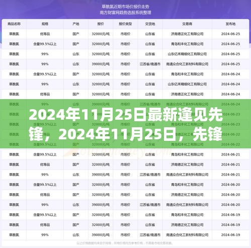 2024年11月25日最新逢见先锋,2024年11月25日,先锋科技的新里程碑