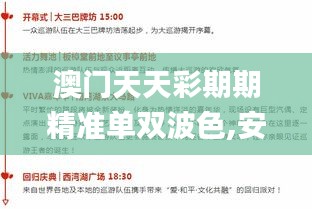 澳门天天彩期期精准单双波色,安全设计方案评估_活动版IUS7.80