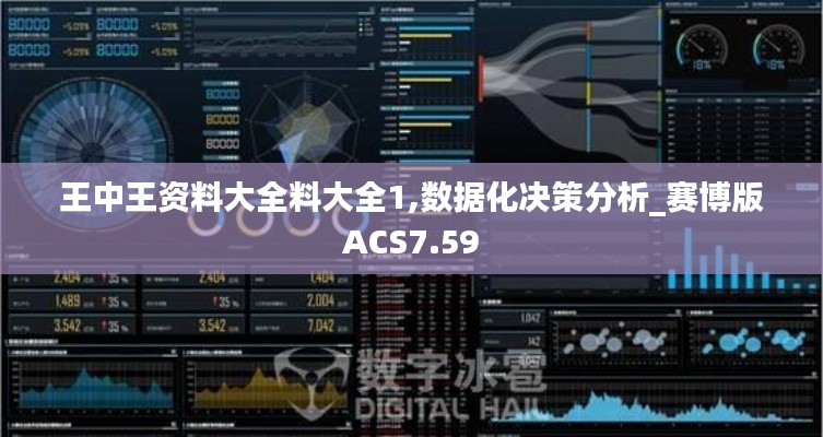 王中王资料大全料大全1,数据化决策分析_赛博版ACS7.59