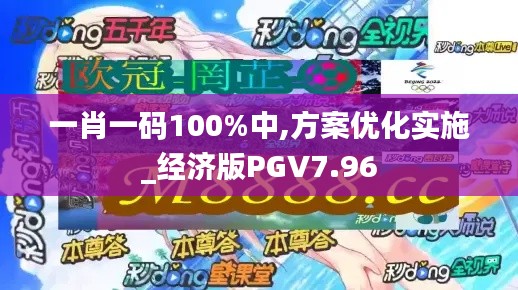 一肖一码100%中,方案优化实施_经济版PGV7.96