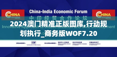 2024澳门精准正版图库,行动规划执行_商务版WOF7.20