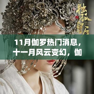 十一月风云变幻，伽罗消息掀起热潮