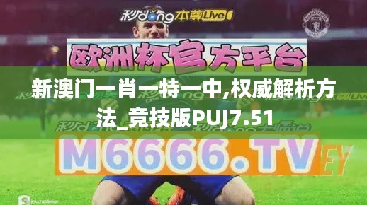 新澳门一肖一特一中,权威解析方法_竞技版PUJ7.51
