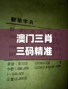 澳门三肖三码精准100%新华字典,自我评价_全景版MWE7.98