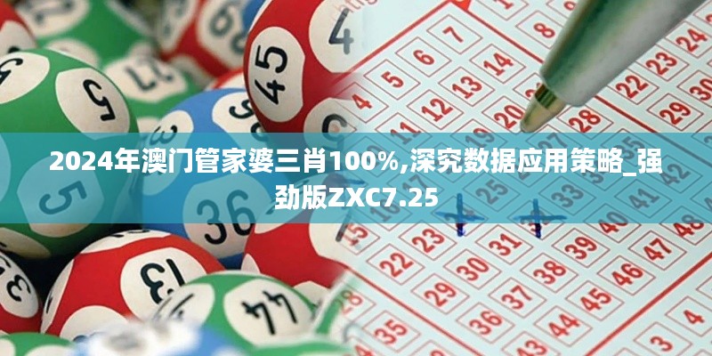2024年澳门管家婆三肖100%,深究数据应用策略_强劲版ZXC7.25