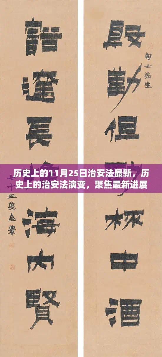 11月25日治安法的历史演变与最新进展解析，聚焦最新法规与要点聚焦解析