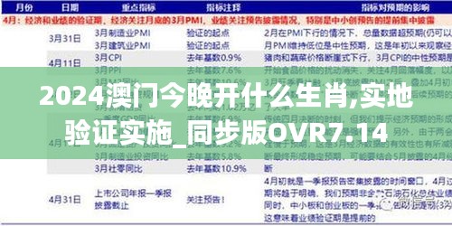 2024澳门今晚开什么生肖,实地验证实施_同步版OVR7.14