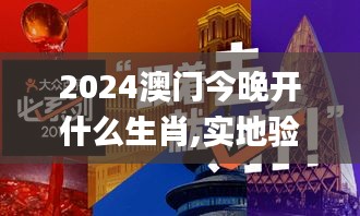 2024澳门今晚开什么生肖,实地验证实施_同步版OVR7.14