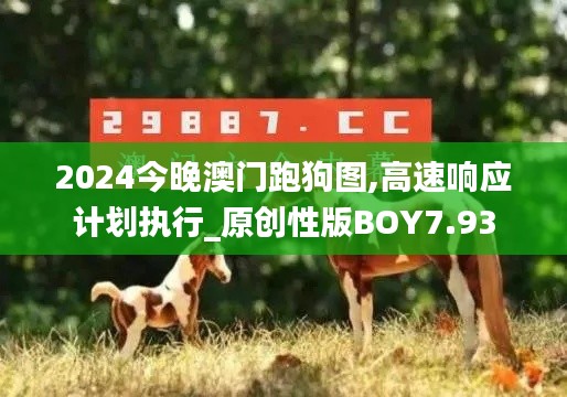 2024今晚澳门跑狗图,高速响应计划执行_原创性版BOY7.93
