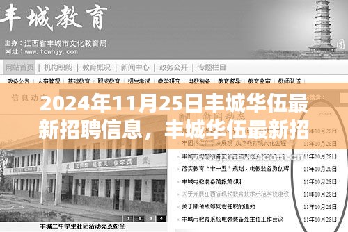 丰城华伍最新招聘信息获取全攻略（2024年11月版）