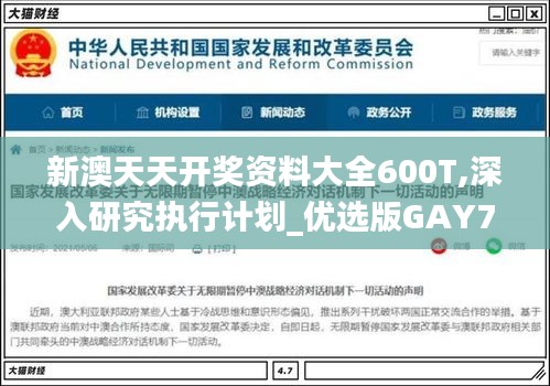 新澳天天开奖资料大全600T,深入研究执行计划_优选版GAY7.7
