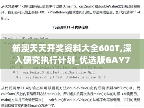 新澳天天开奖资料大全600T,深入研究执行计划_优选版GAY7.7