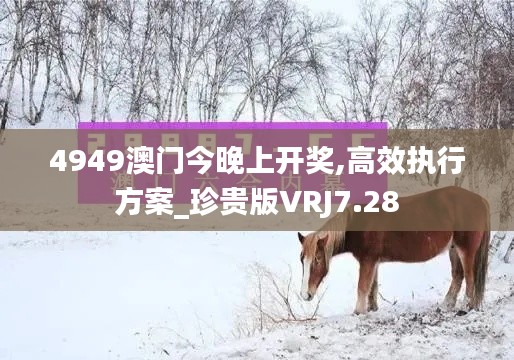 4949澳门今晚上开奖,高效执行方案_珍贵版VRJ7.28