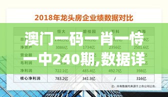 澳门一码一肖一恃一中240期,数据详解说明_传承版EZL7.76