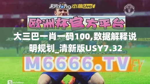 大三巴一肖一码100,数据解释说明规划_清新版USY7.32