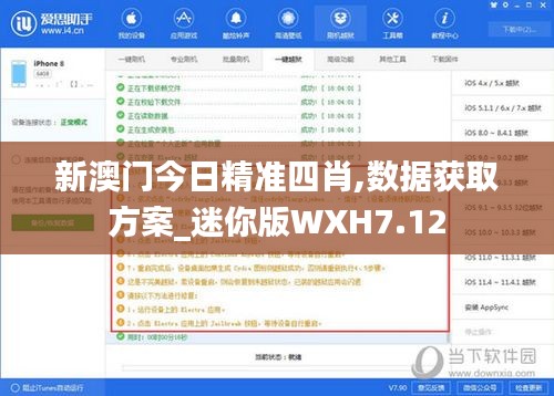 新澳门今日精准四肖,数据获取方案_迷你版WXH7.12