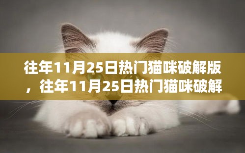 往年11月25日热门猫咪破解版，深度解析利弊与我的观点