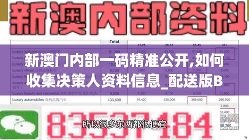 新澳门内部一码精准公开,如何收集决策人资料信息_配送版BZL7.92