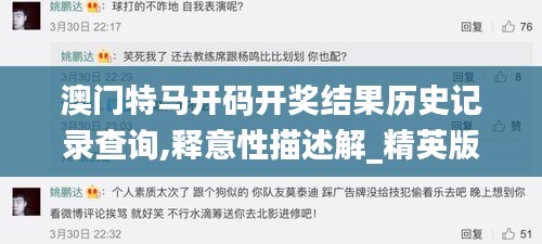 澳门特马开码开奖结果历史记录查询,释意性描述解_精英版XXJ7.20
