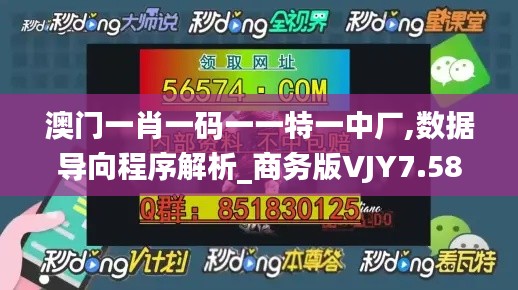 澳门一肖一码一一特一中厂,数据导向程序解析_商务版VJY7.58