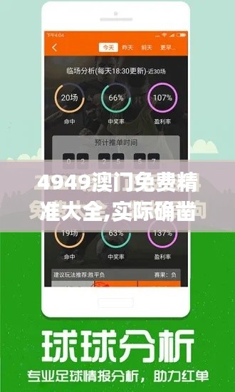 4949澳门免费精准大全,实际确凿数据解析统计_灵动版TJX7.79