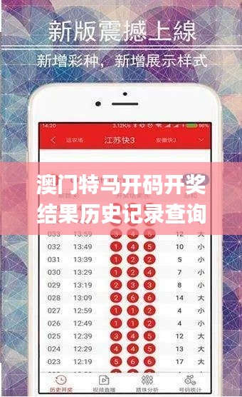 澳门特马开码开奖结果历史记录查询,实地观察数据设计_时尚版FKN7.11