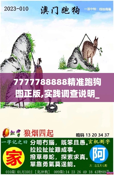 7777788888精准跑狗图正版,实践调查说明_无限版XNK7.53