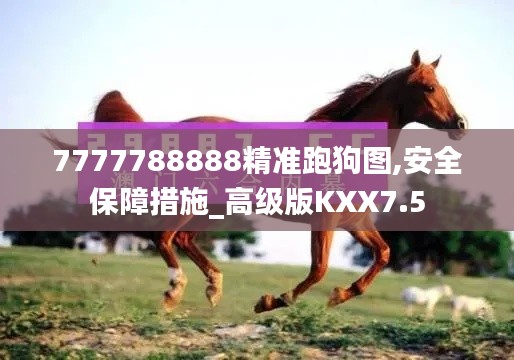 7777788888精准跑狗图,安全保障措施_高级版KXX7.5