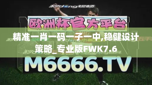 精准一肖一码一子一中,稳健设计策略_专业版FWK7.6