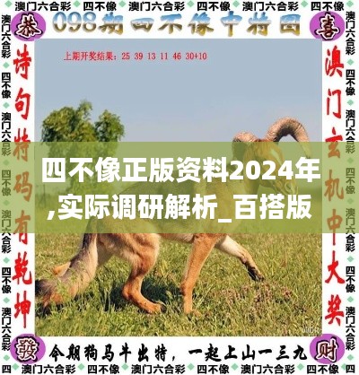 四不像正版资料2024年,实际调研解析_百搭版QLB7.44