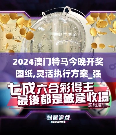 2024澳门特马今晚开奖图纸,灵活执行方案_强劲版TTE7.87