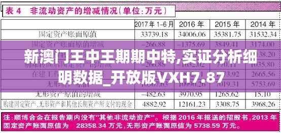 新澳门王中王期期中特,实证分析细明数据_开放版VXH7.87