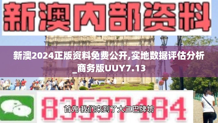 新澳2024正版资料免费公开,实地数据评估分析_商务版UUY7.13