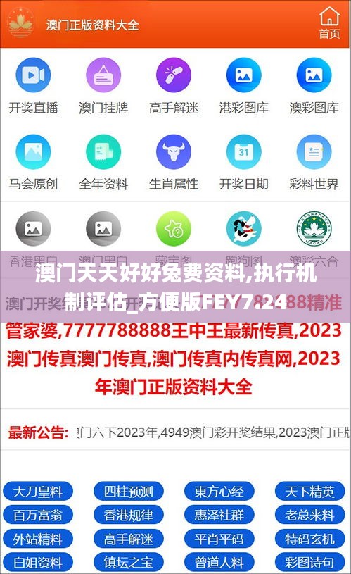 澳门天天好好兔费资料,执行机制评估_方便版FEY7.24
