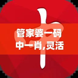 管家婆一码中一肖,灵活性执行方案_云端版HBJ7.3
