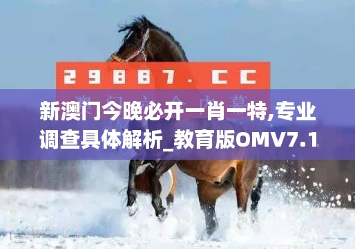 新澳门今晚必开一肖一特,专业调查具体解析_教育版OMV7.16